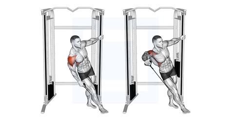 External Shoulder Rotation Stretch Guide Benefits And Form