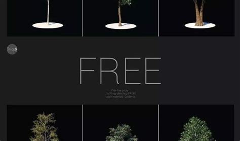 Tree sketchup - Sketchup Models For Free Download