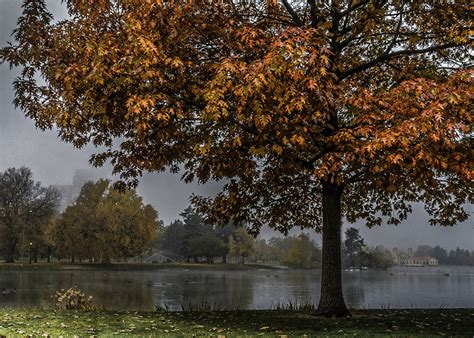 Image Usa Foliage Denver Autumn Nature Pond Parks Trees