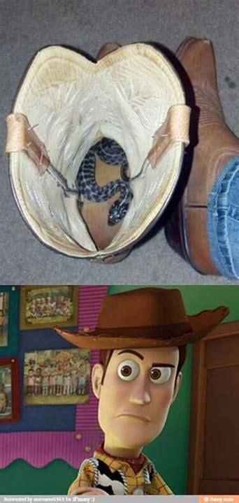 There S A Snake In My Boot Funny Pictures Funny Memes Laugh