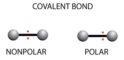 Covalent Bonding - Surfguppy - Chemistry made easy for visual learners