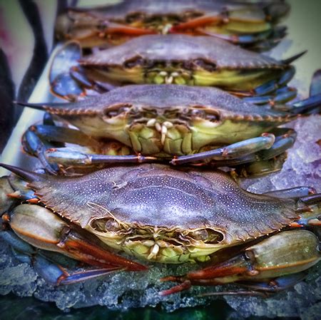 Soft Shell Crab Season is here! | Monahan's Seafood Market | Fresh ...