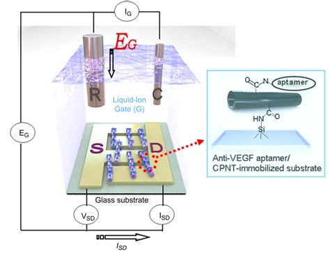 Figure From A High Performance Vegf Aptamer Functionalized