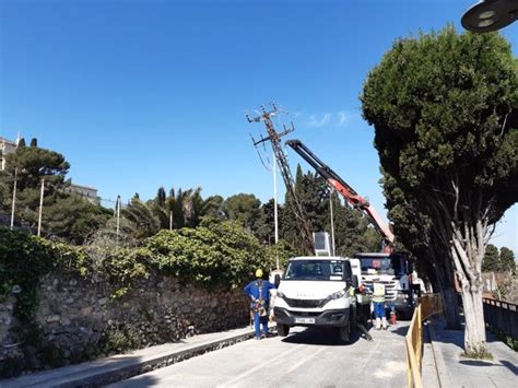 Endesa invirtió medio millón en impulsar la electrificación de la