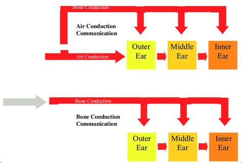 Block Diagram Of The Air Conduction Upper Panel And Bone Conduction Download Scientific