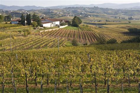 Kurtin vini - Cantina Cormons (Gorizia) | Hello Taste