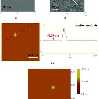 Atomic Force Microscopy AFM Height A D Phase B And Crosssection