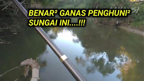 Syukur Alhamdulillah Tak Di Sangka Ternyata Ikan Di Sungai Ini Ganas