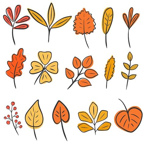 Conjunto de hojas de otoño dibujo a mano vector hojas aisladas de arce