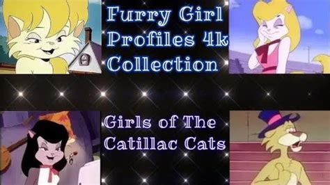 Catillac Cat Girls Furry Girl Profiles K Collection Youtube