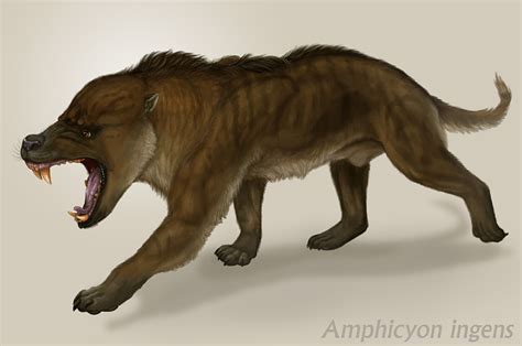 Amphicyon Ingens By Viergacht On Deviantart