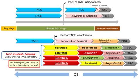 Cancers Free Full Text Systemic Therapy For Hepatocellular Carcinoma Latest Advances