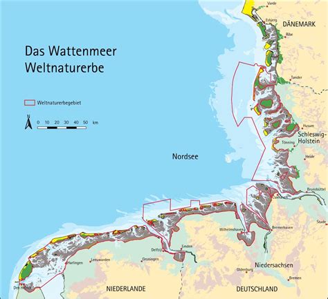 Unesco Wattenmeer Wird Welterbe Spektrum Der Wissenschaft