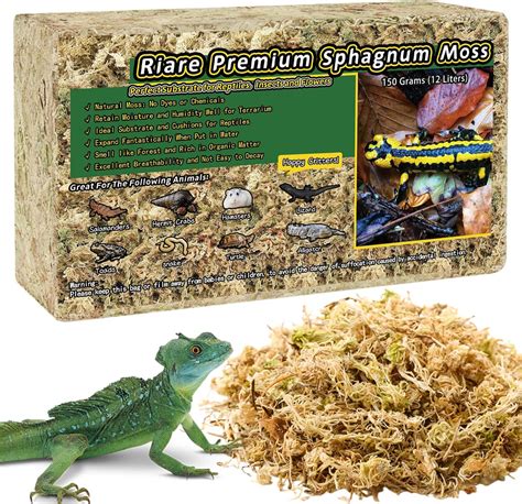 Amazon Riare Oz Premium Sphagnum Moss For Reptiles Qt