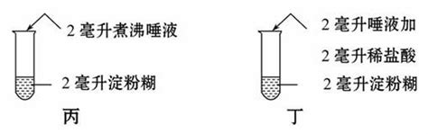 小明设计了如图所示的实验他把以下4支试管放在37℃温水中10分钟取出后冷却向每支试管滴入碘液若要探究“唾液淀粉酶的消化作用受温度影响