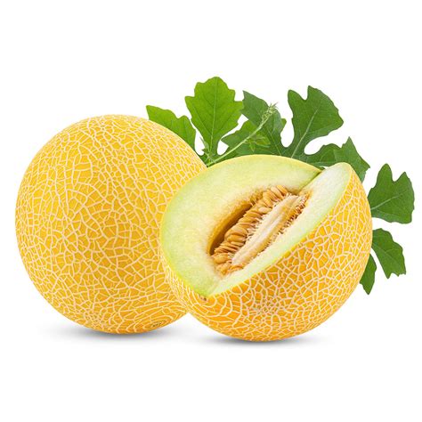Melón Galia - DELAMASIA