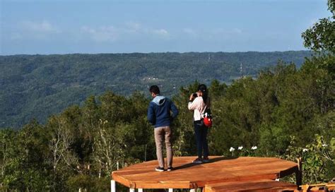 Libur Lebaran Bermain Merpati Di Puncak Sosok Bantul Yogyakarta Tempo Co