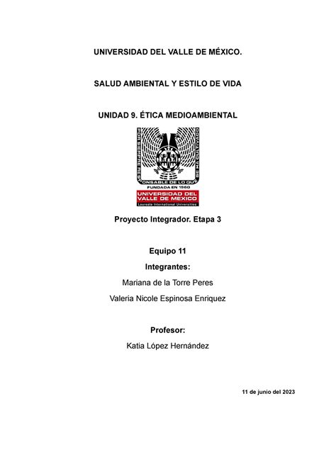 A17 Equipo 11 Actividad 17 Proyecto Integrador Etapa 3 Universidad Del Valle De MÉxico