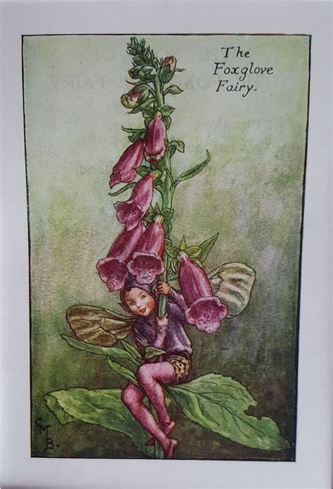 Flower Fairy Foxglove Vintage Print 1930s Cicely Mary Barker Flower