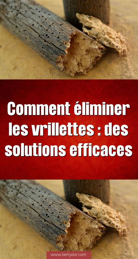 Comment Liminer Les Vrillettes Des Solutions Efficaces En