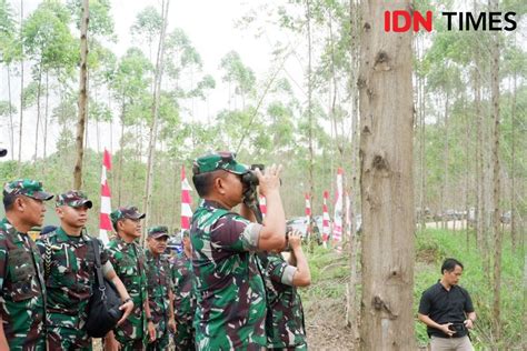 Ksad Tni Tinjau Lokasi Pembangunan Mabes Ad Di Ikn