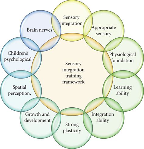 Sensory Integration Training Framework Download Scientific Diagram