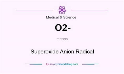 😂 Superoxide anion radical. Apparent hydroxyl radical production by peroxynitrite: implications ...