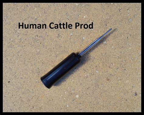 Femdom Cattle Prod Telegraph