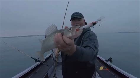 Walleye Fishing Lake St Clair December Youtube