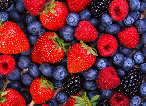 Mixed Berries Wallpaper download - Fruit HD Wallpaper - Appraw