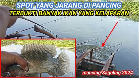 SPOT YANG JARANG DI PANCING IKANNYA KELAPARAN MANCING SAGULING