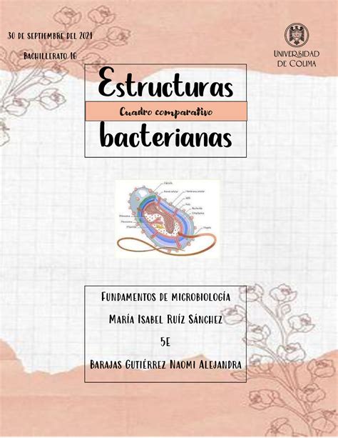 Estructuras Bacterianas FM 30 De Septiembre Del 2021 Bachillerato 16