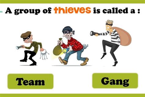 Unmasking The Enigmatic World Of Thieves Guilds What Is The Group Of