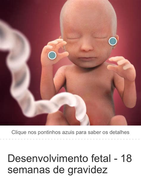 Instagram photo by Por Débora Nunes Aug 2 2016 at 1 47pm UTC Fetal