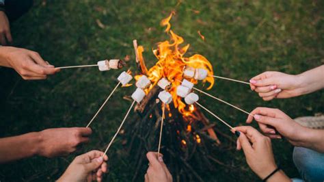 Des Recettes Parfaites Pour Le Camping Zeste