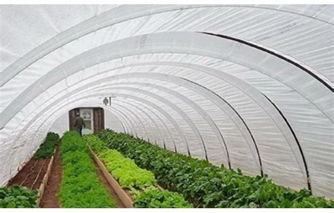 Farm Construction Greenhouse Plastic Sheeting Farm Plastic Supply