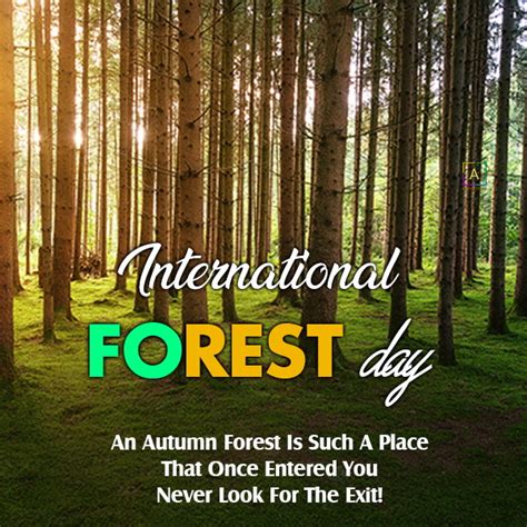 International Day Of Forests Quotes Wishes Theme And Messages