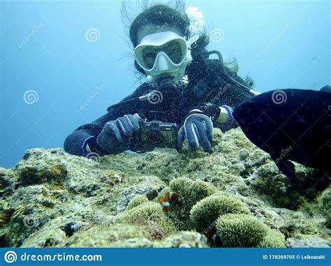 Woman Scuba Diving At Sea Coral Reef Okinawa Taking Photography Aquatic Underwater Editorial