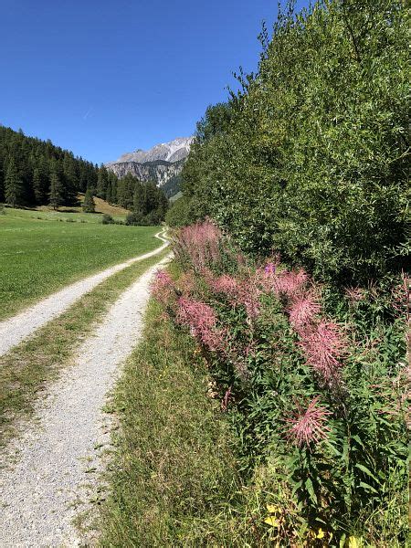 Jakobsweg Graubünden Nachtrag Etappe 1 annelies on hike