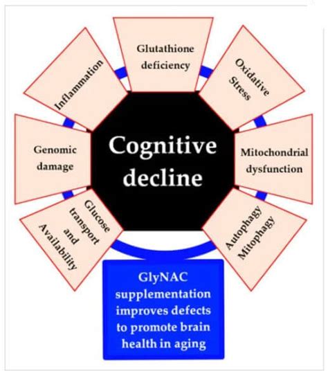 Glynac Supplementation May Help Reverse Cognitive Decline In Aging