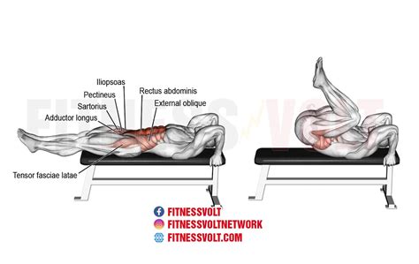 Lako Se Ozlijediti Probuditi Prirodni Leg Raise Muscles Worked Svet Mi