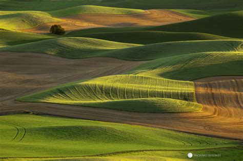 Waves Of Wheat Steptoe Butte State Park Colfax Washington