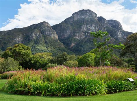 The Most Beautiful Gardens Throughout South Africa Garden