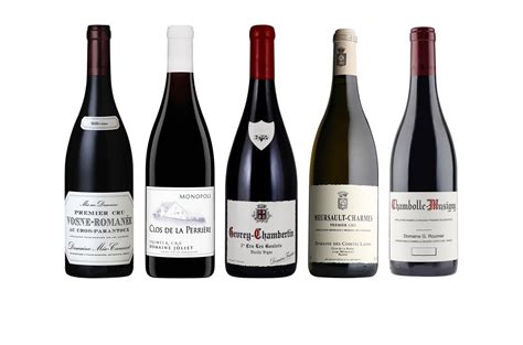 Best Burgundy 2019 Premier Cru wines - Decanter