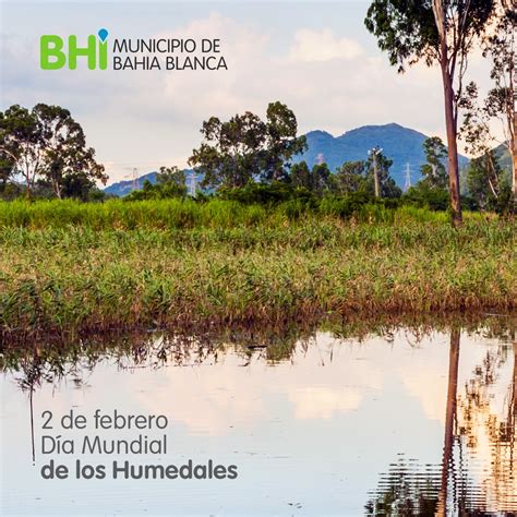 2 De Febrero Día Mundial De Los Humedales Prensa Bahía