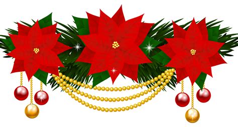 Free Poinsettias Cliparts Download Free Poinsettias Cliparts Png