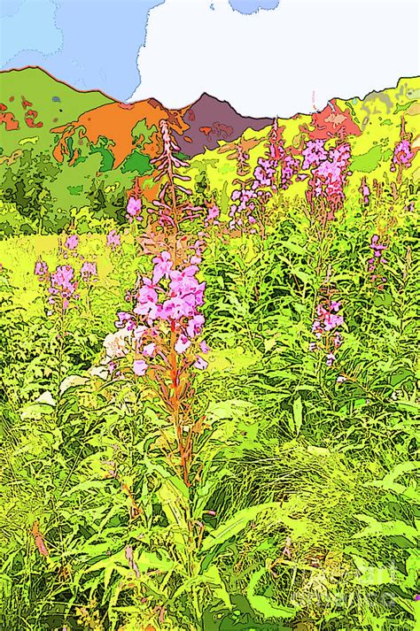 Alaskan Fireweed Digital Art By Chris Taggart Pixels