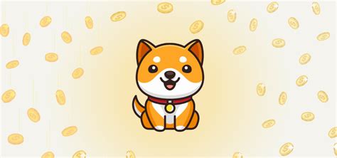 How to Buy Baby Doge Coin? Our Guide to a Baby Doge! – CryptoSoho