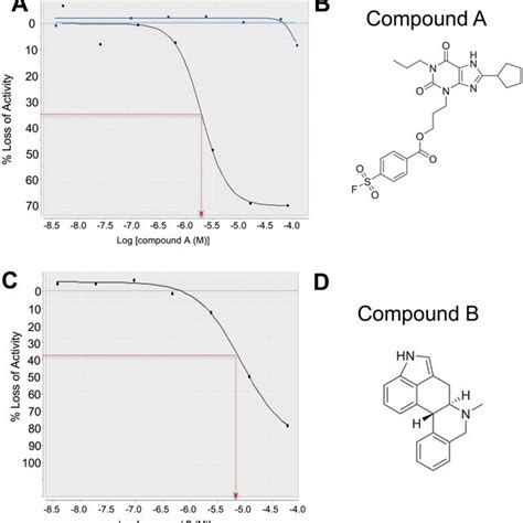 Surface Plasmon Resonance Of Compound B With The Three Ras Isoforms Download Scientific