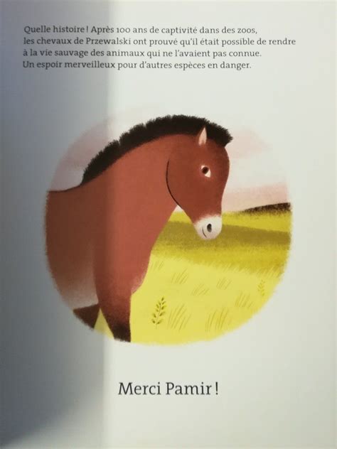 Pamir Le Cheval De Przewalski Teteenlire